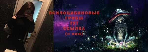 твердый Алексеевка