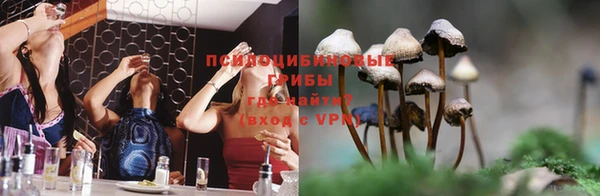 твердый Алексеевка