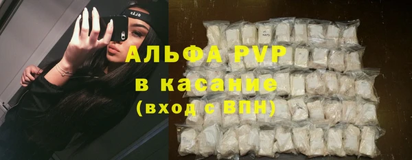 спиды Алзамай