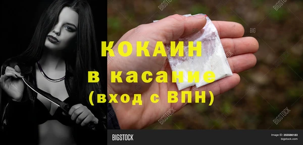 соль ск Алексин