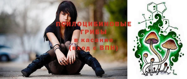 соль ск Алексин