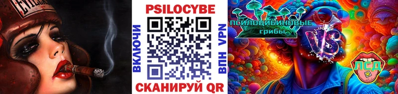 мега зеркало  Инсар  Псилоцибиновые грибы Cubensis 